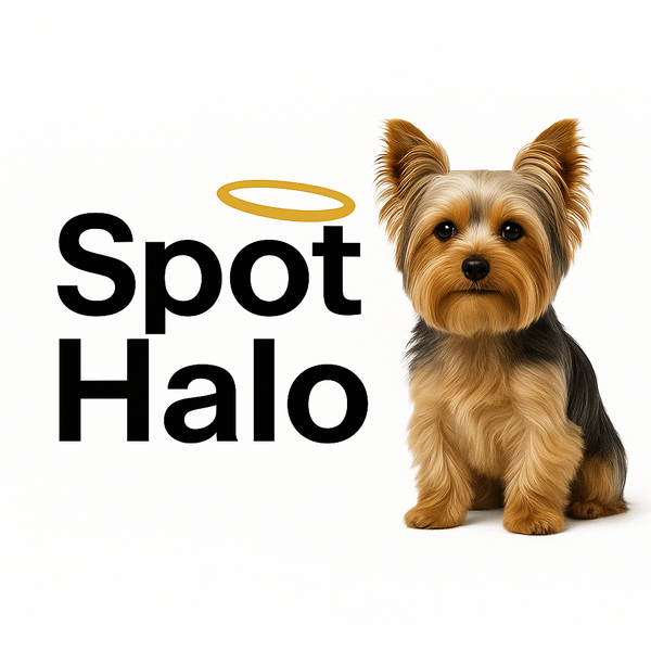 Spot Halo Official Store
